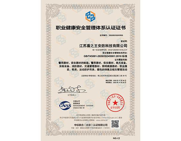 职业健康安全管理体系